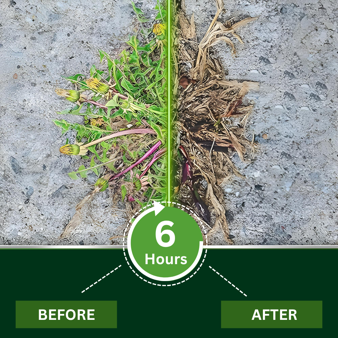 【Discount limit】AEXZR® 2 in 1 Max Power Herbicide