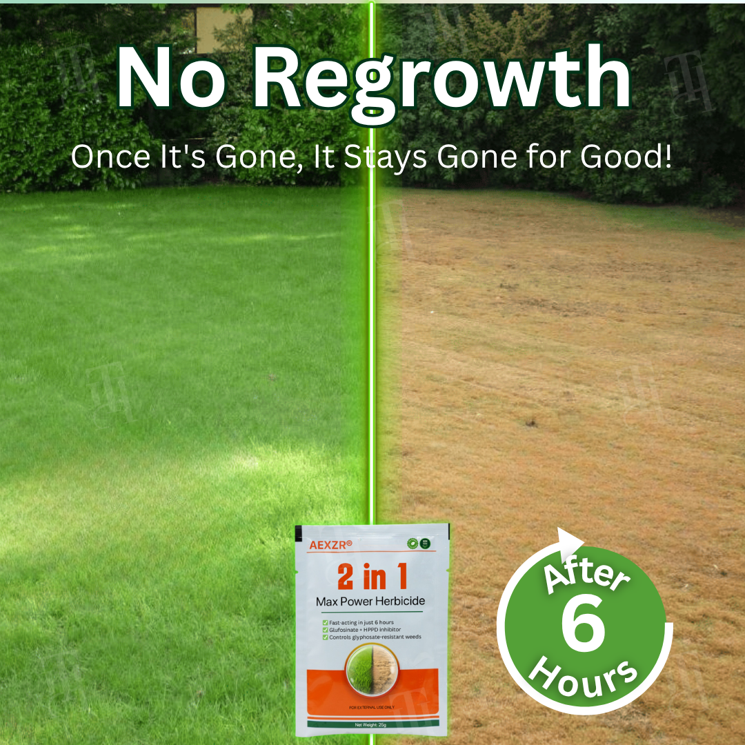 【Discount limit】AEXZR® 2 in 1 Max Power Herbicide