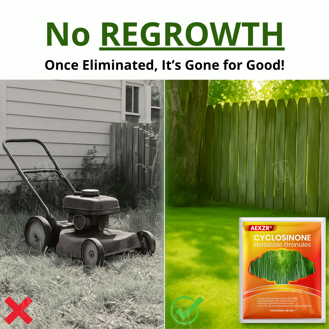 Official Store: AEXZR® Cyclosinone Herbicide Granules - Quick&Easy